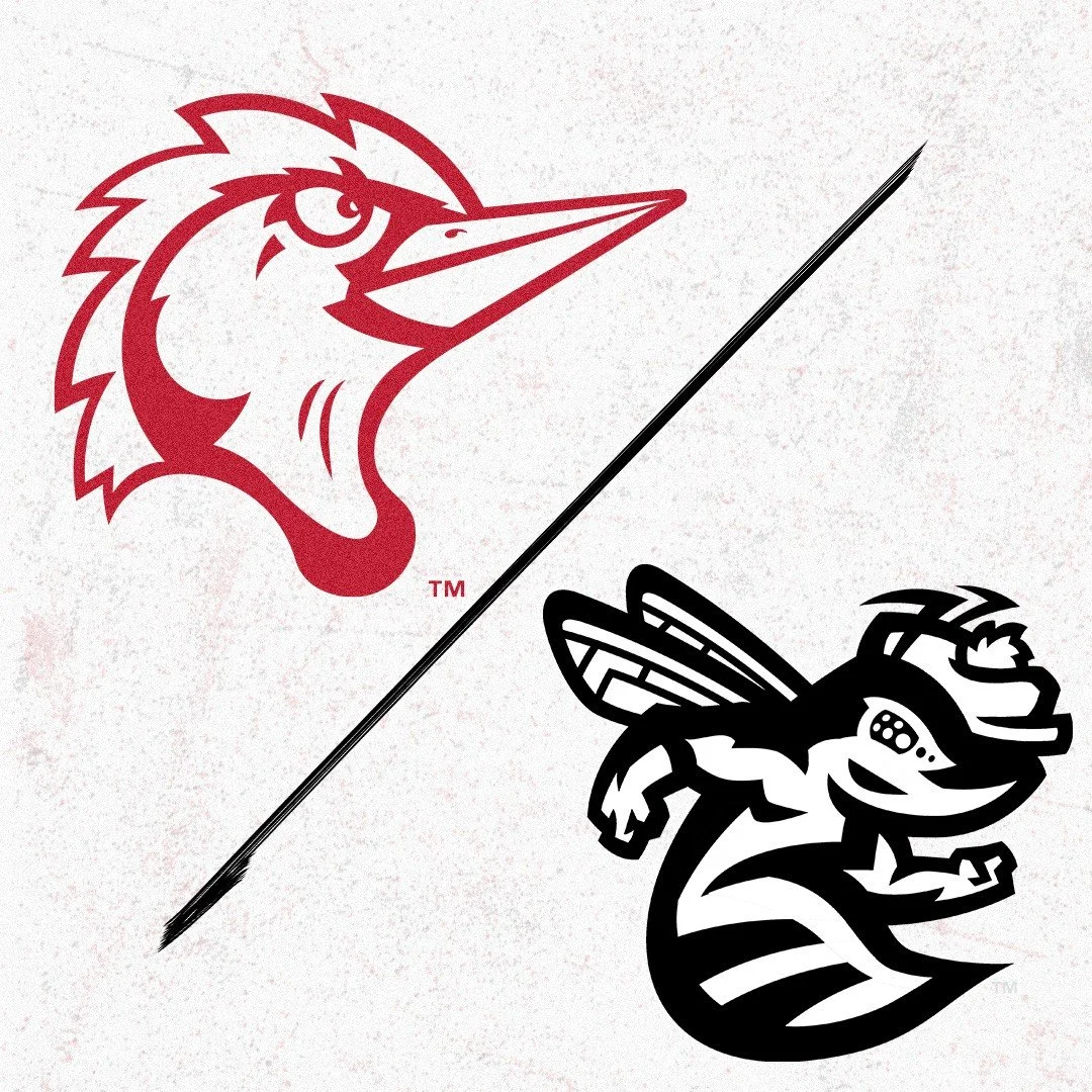 Fayetteville Woodpeckers vs Augusta GreenJackets