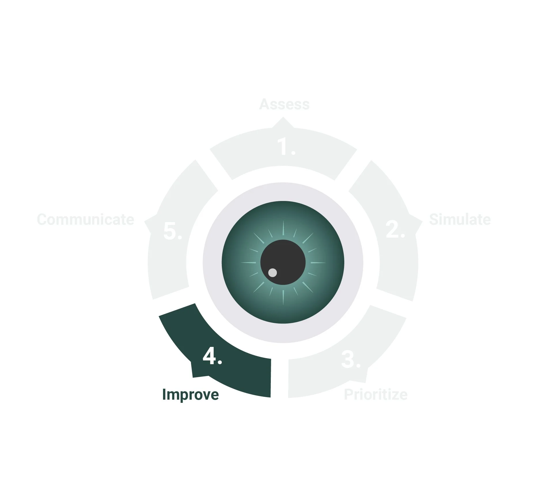 Birdseye eyeball graphic, five sections, bottom-left section, "improve" highlighted in dark green