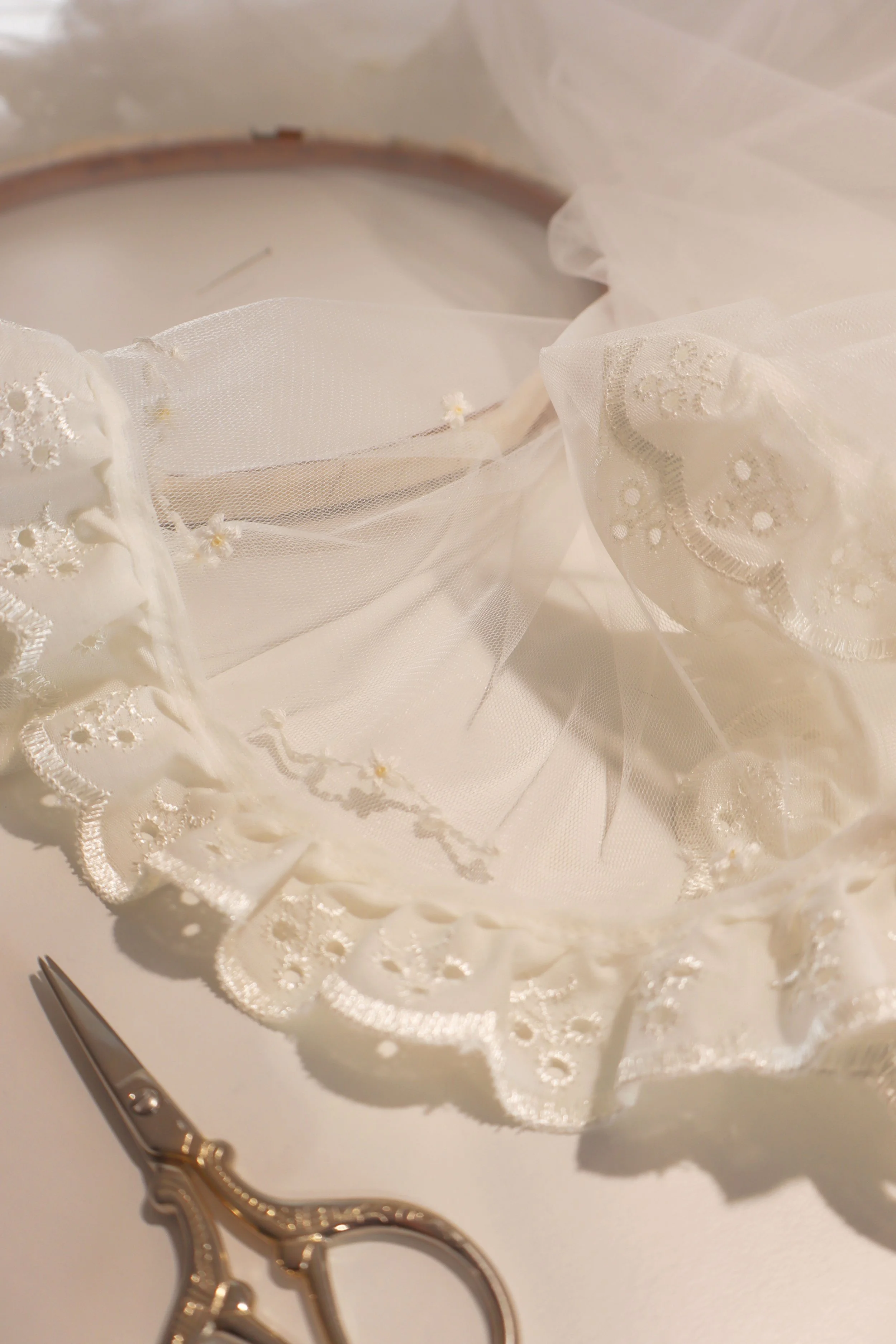 02 Broderie Anglaise Lace Trim Veil with Floral Embroidery (low contrast).jpg