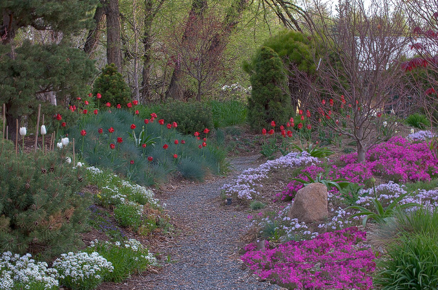 Pathway1 copy.jpg
