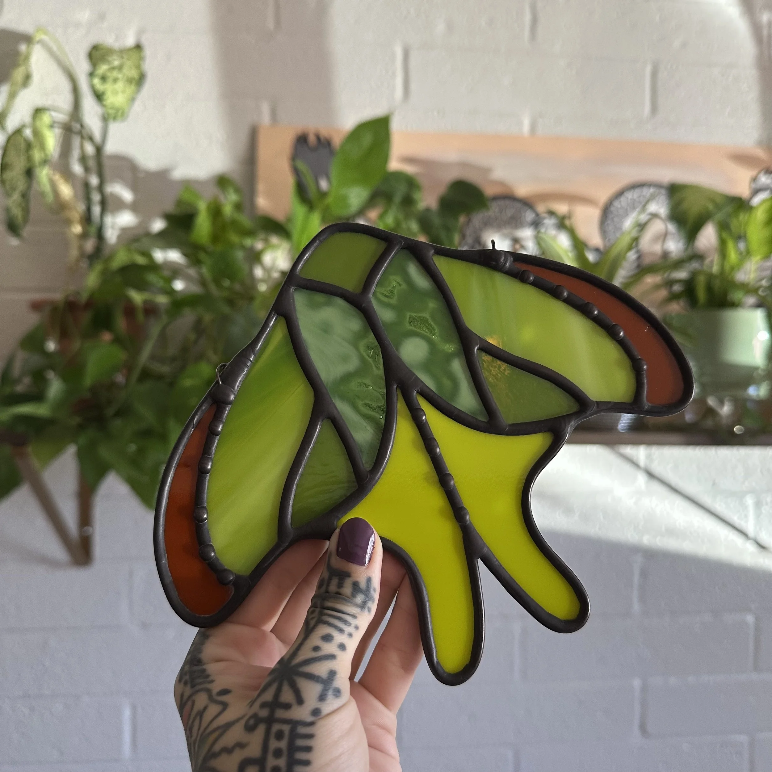 Luna Moth