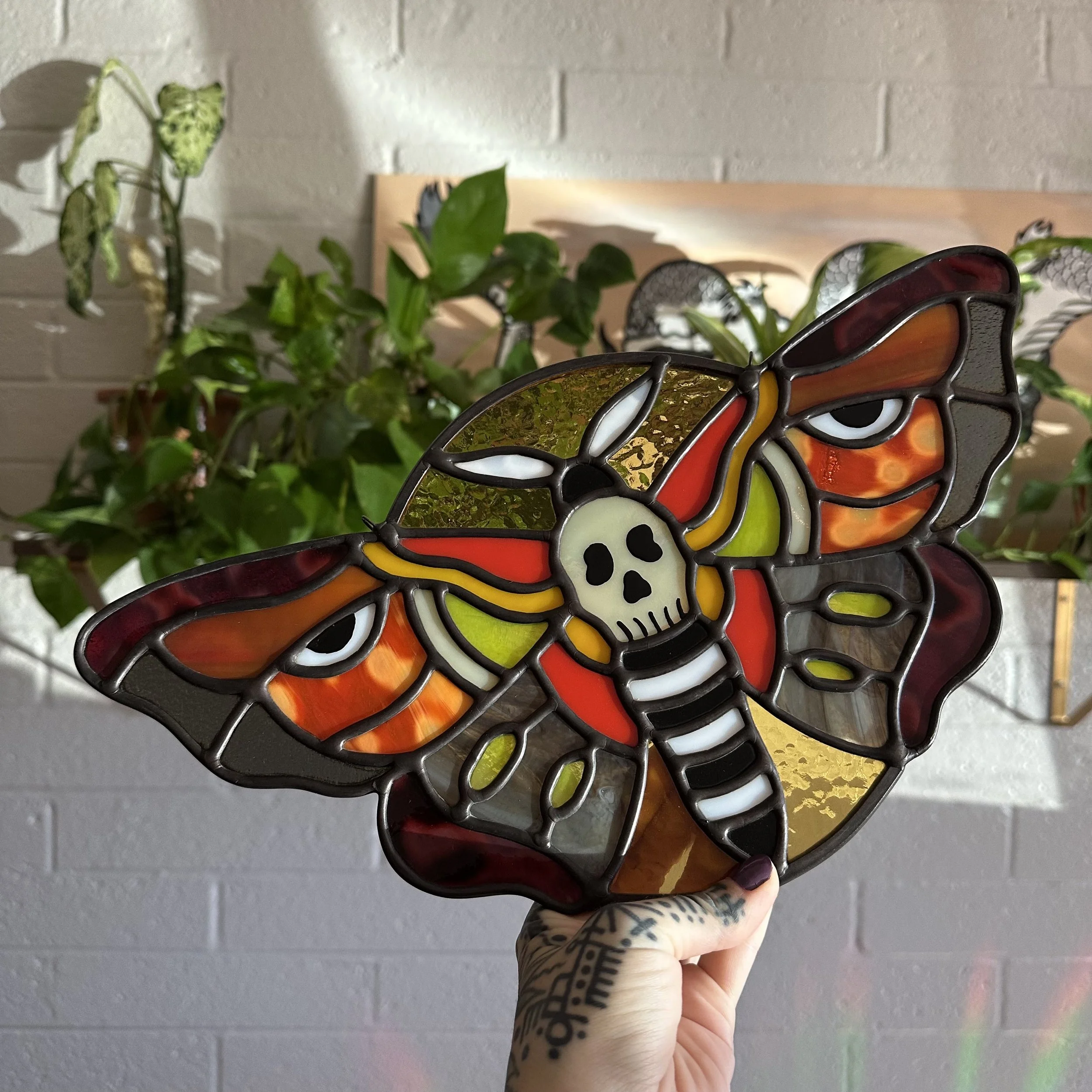 MADE-TO-ORDER Deaths Head Moth