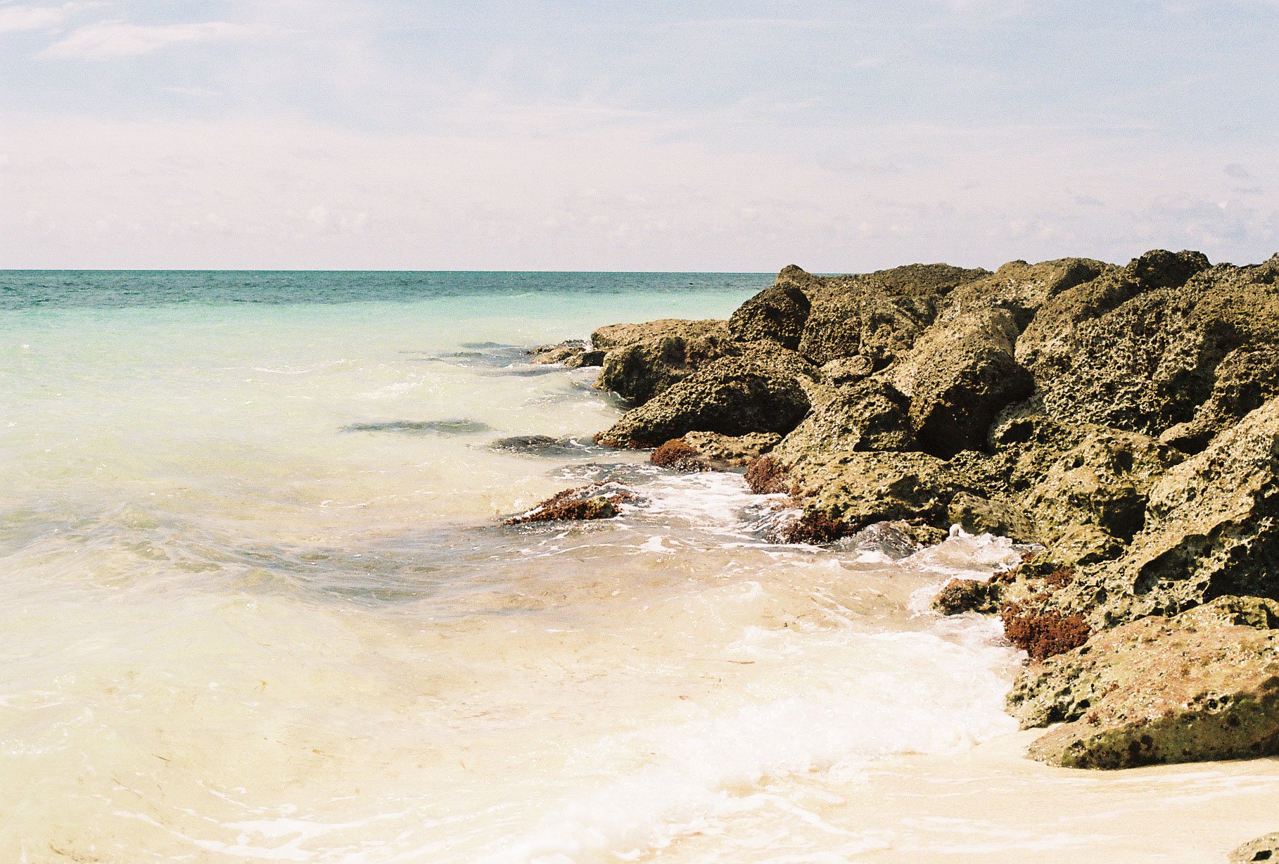 Portra 160 3-16.jpg