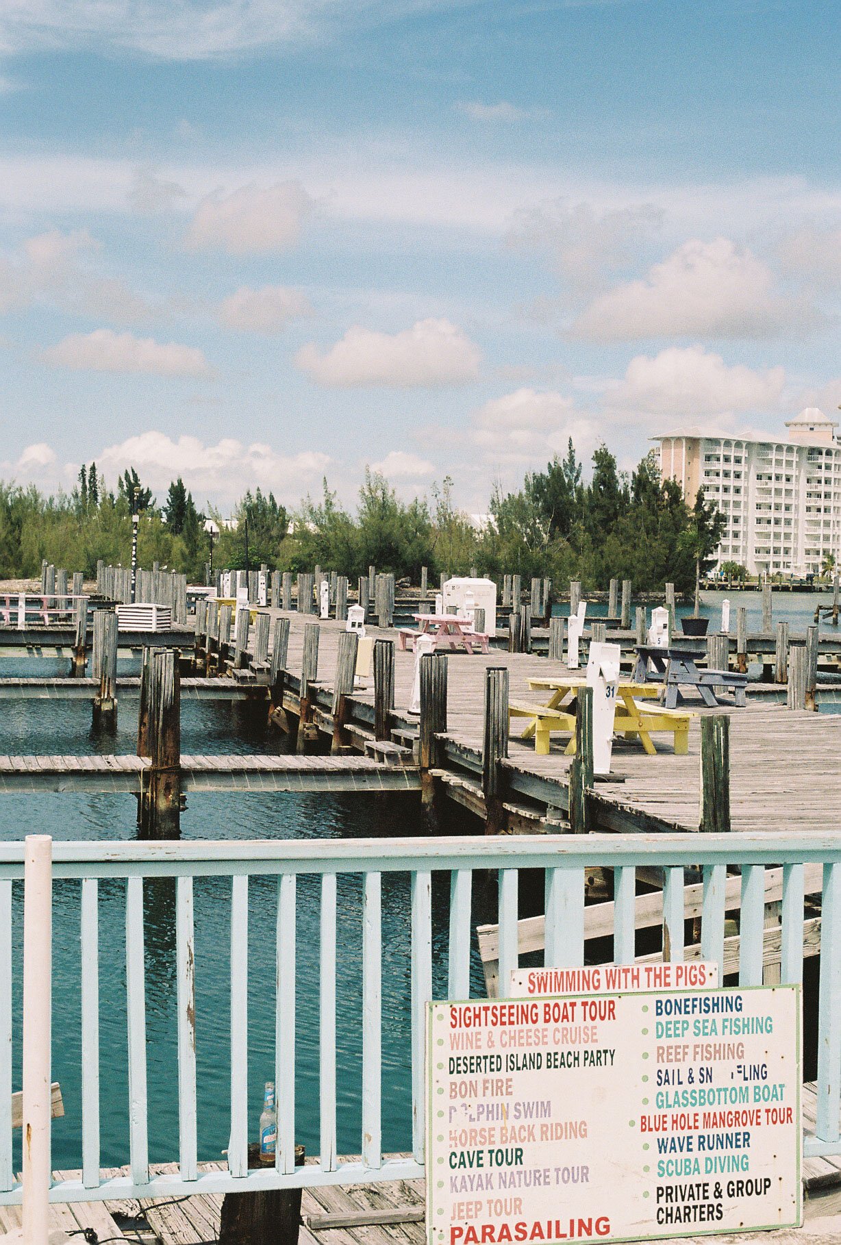 Portra 160 3-31.jpg