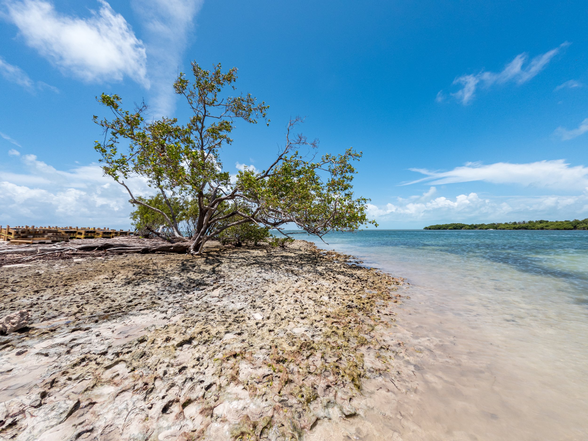 GOPR0407.jpg