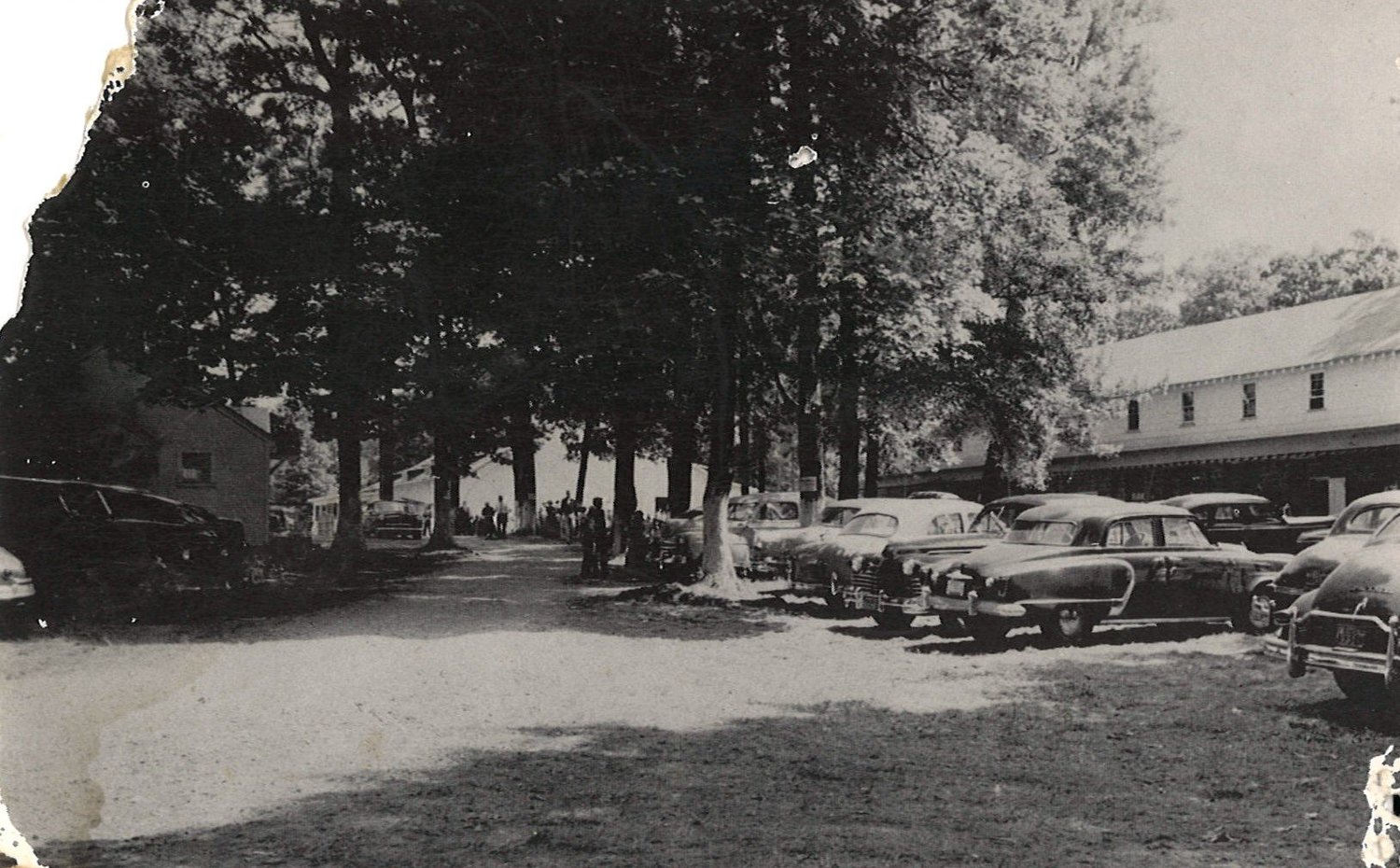 Camp History — Whitehall Camp & Conference Center