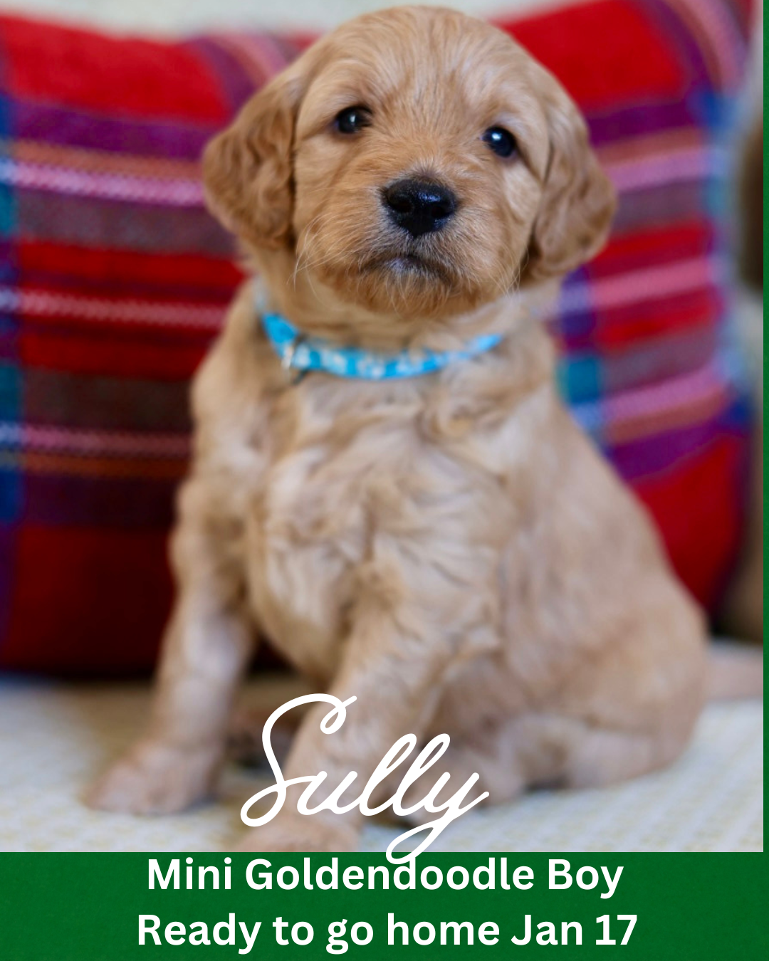 Untitled (Instagram Post (45)).png