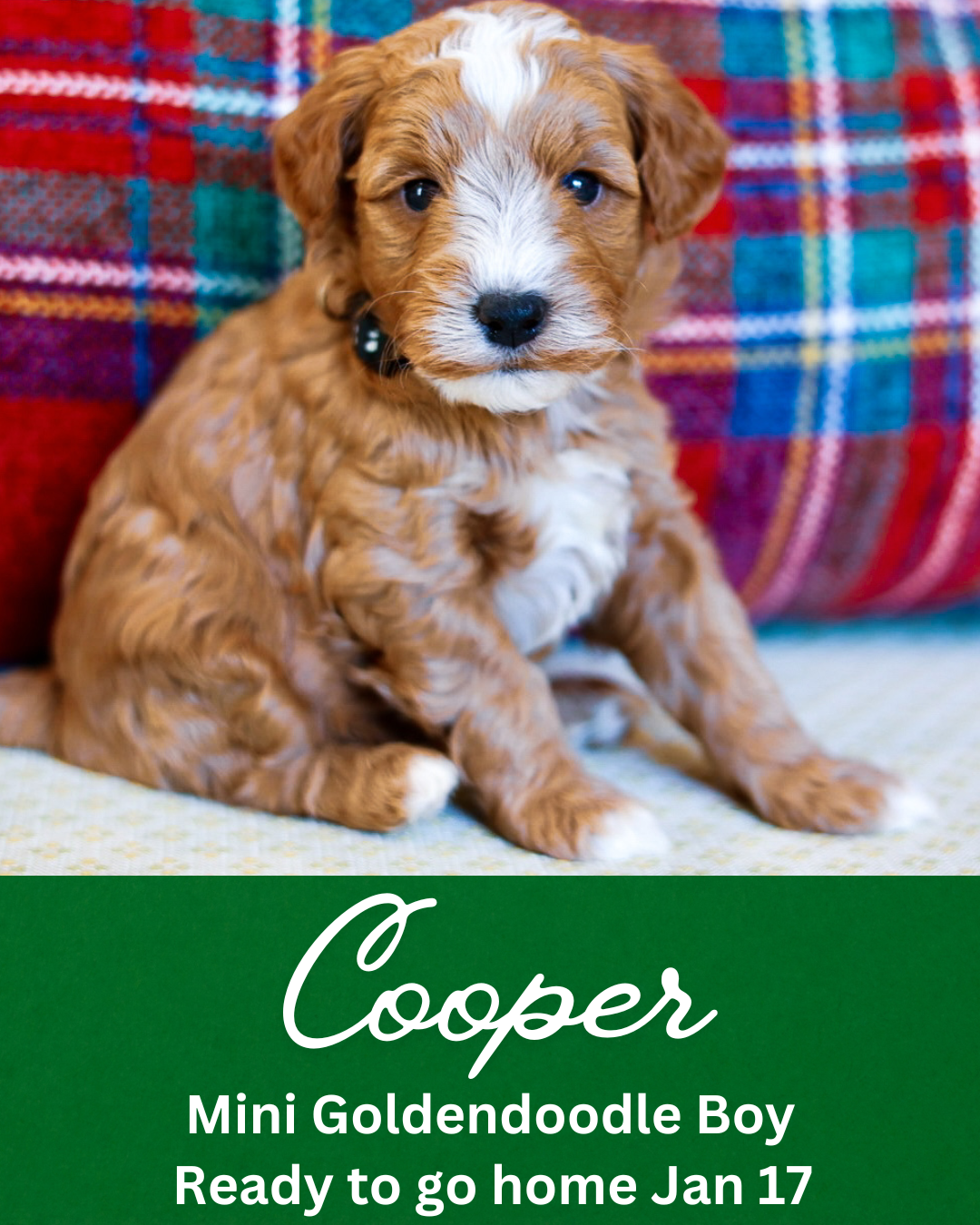 Untitled (Instagram Post (45)).png