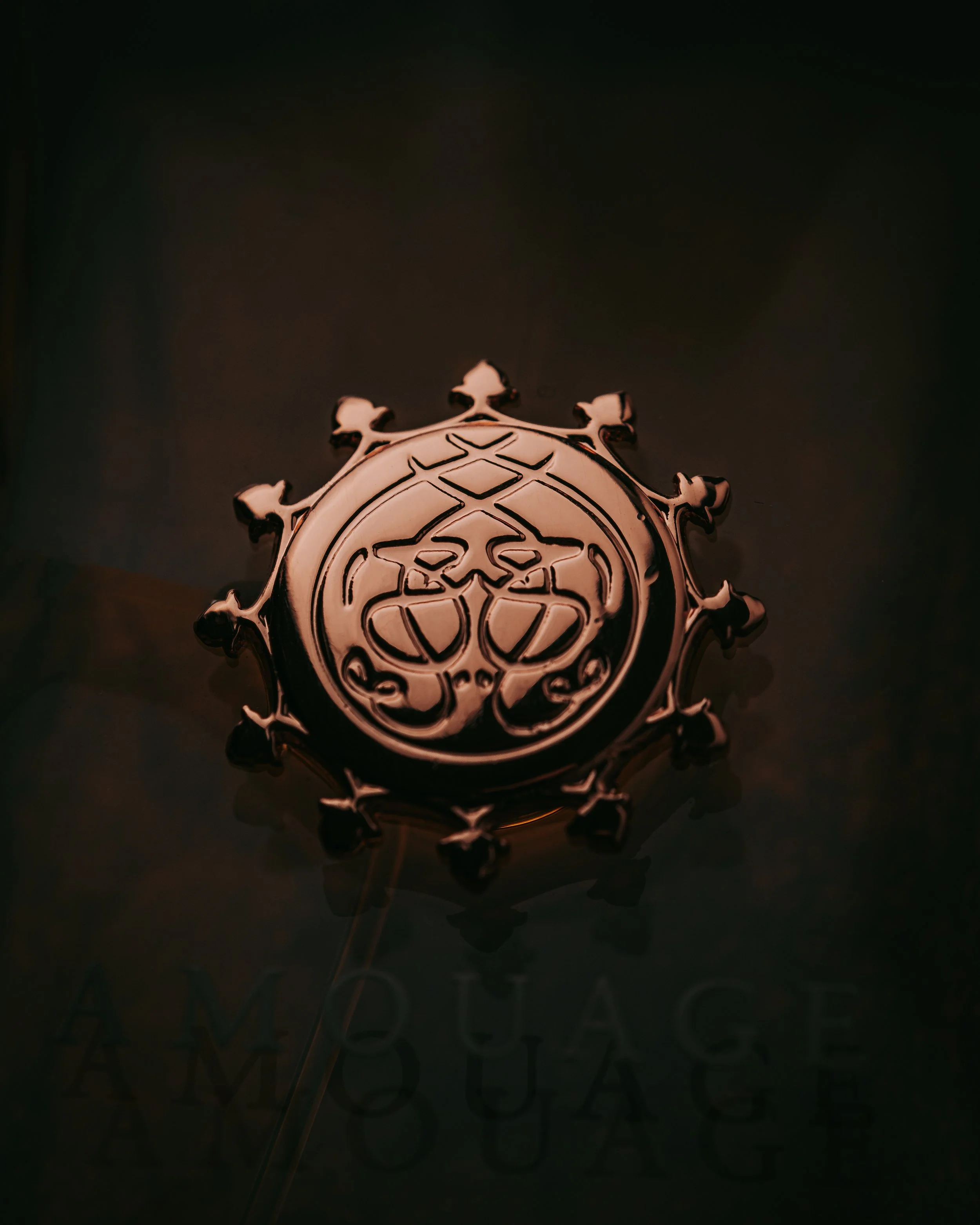 DSCF3763.jpg