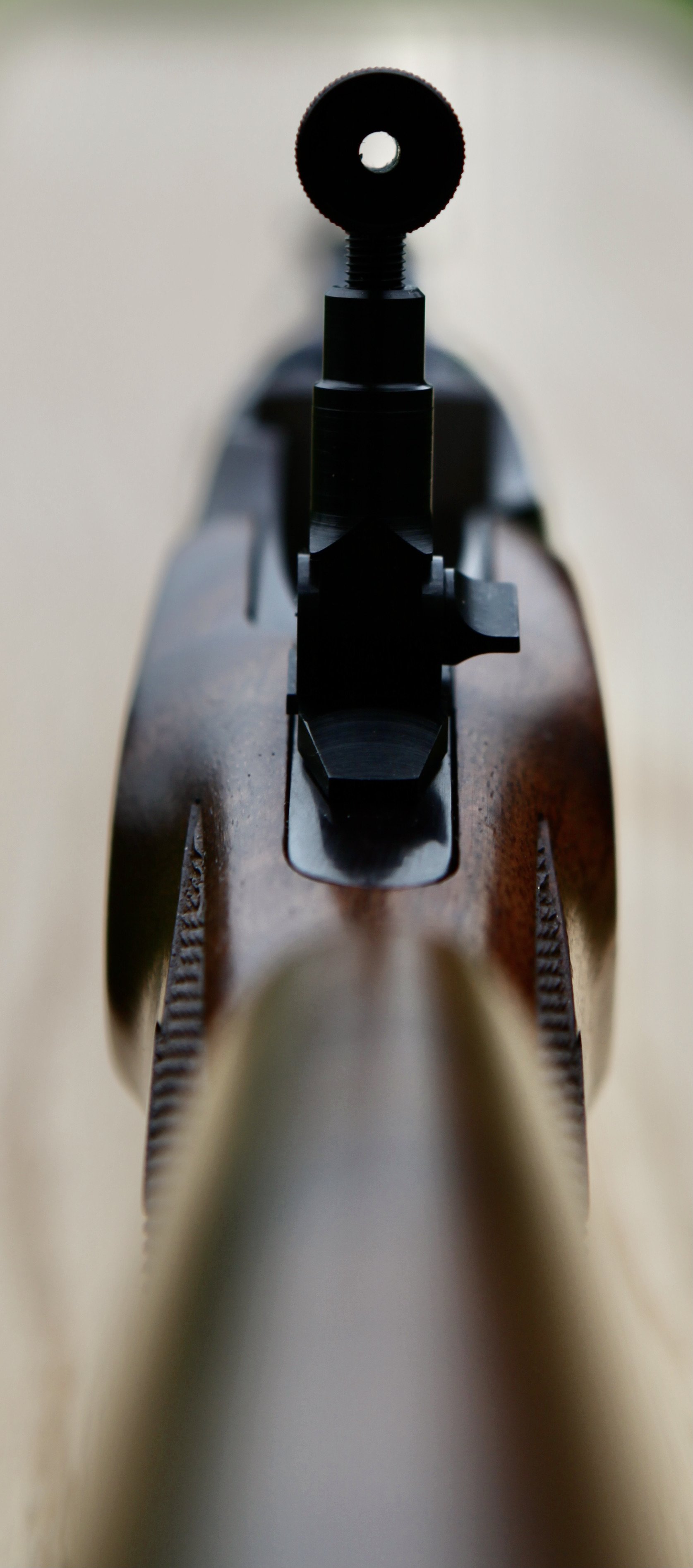 Renner Ruger b.jpeg