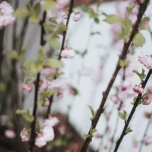 WHY YOUR FEMININITY IS THE BEST MEDICINE FOR PERFECTIONISM