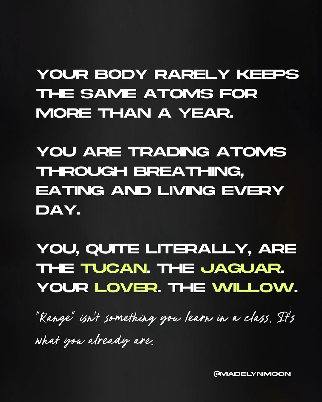 You are always changing shape.

Whether or not you&rsquo;re training this skill and taking it beyond this baseline is up to you. 

Reach out meow for 1-1 containers &mdash; 2 spots now open for teachers, spaceholders, facilitators and guides looking 