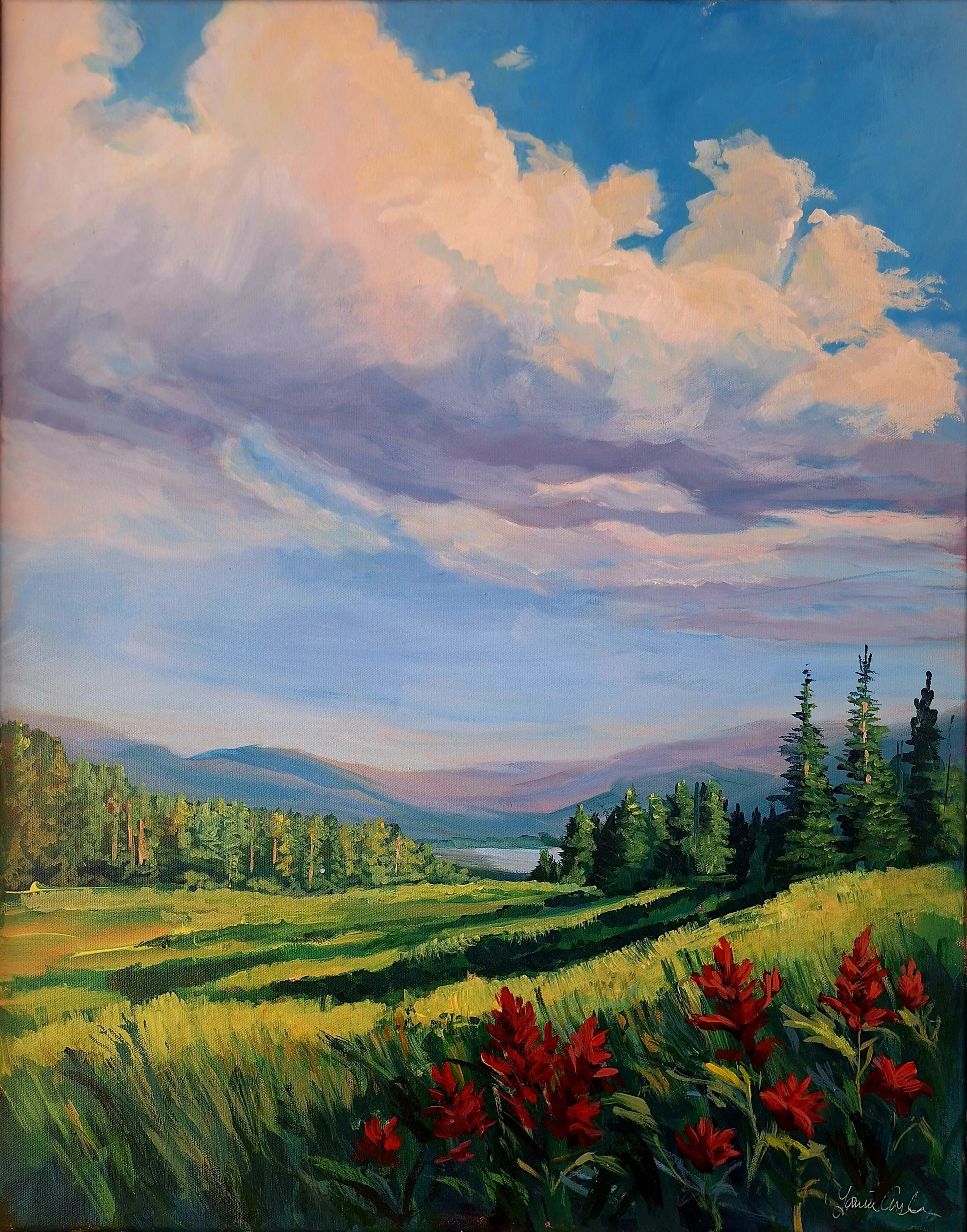 Indian Paintbrush 22x28x1.jpg