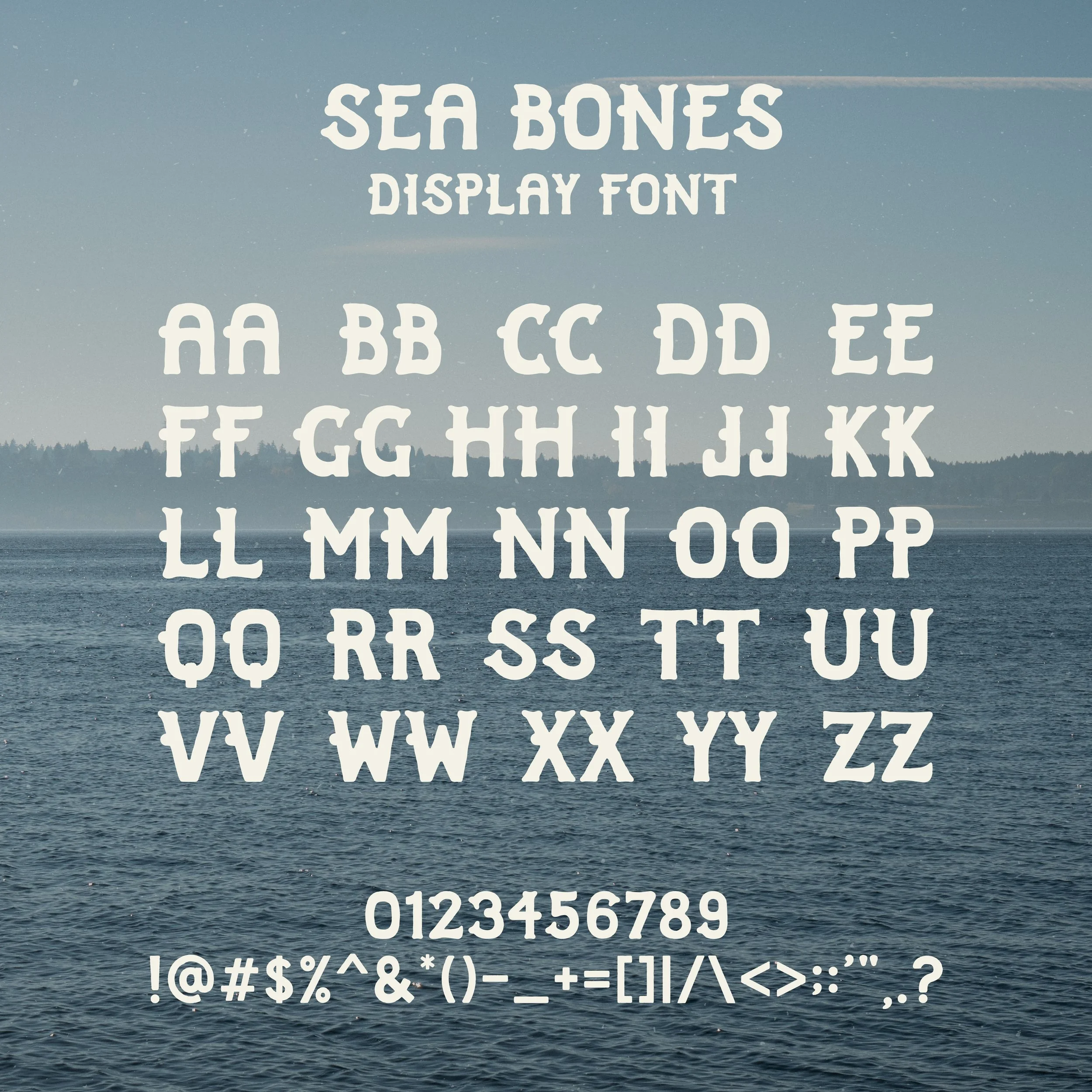 Web_Square_02.jpg