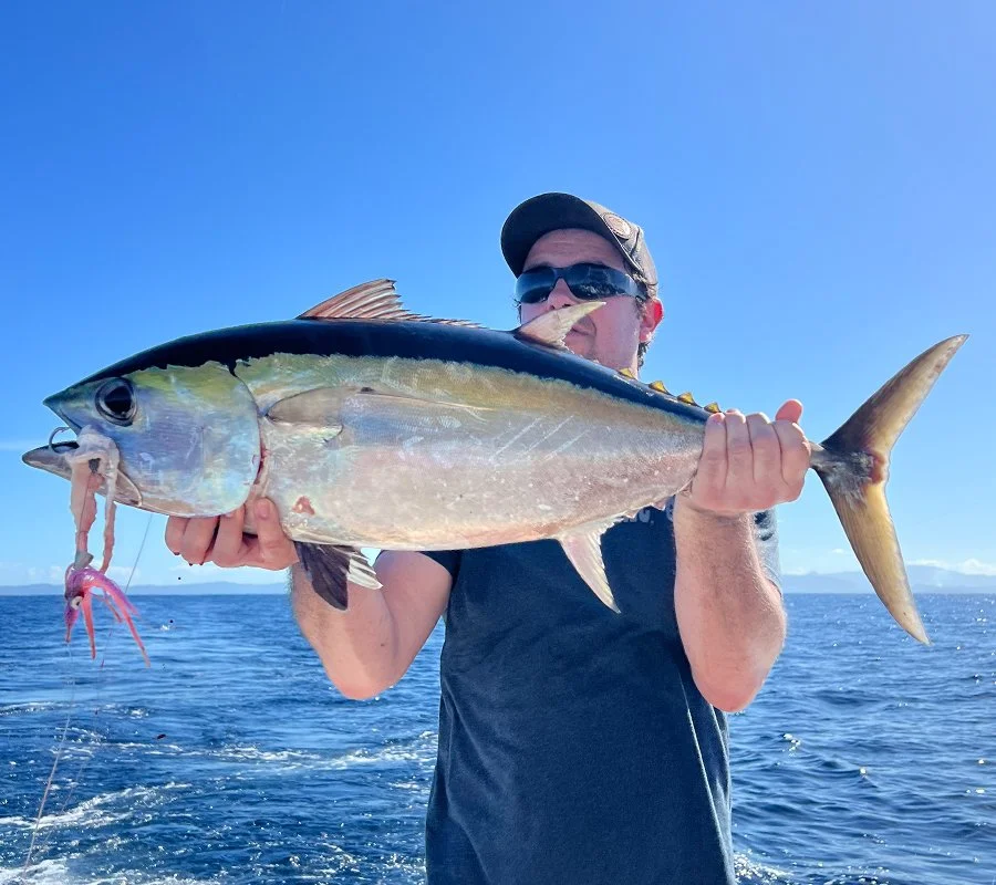 Puerto Rico Blackfin Tuna Fishing Charters