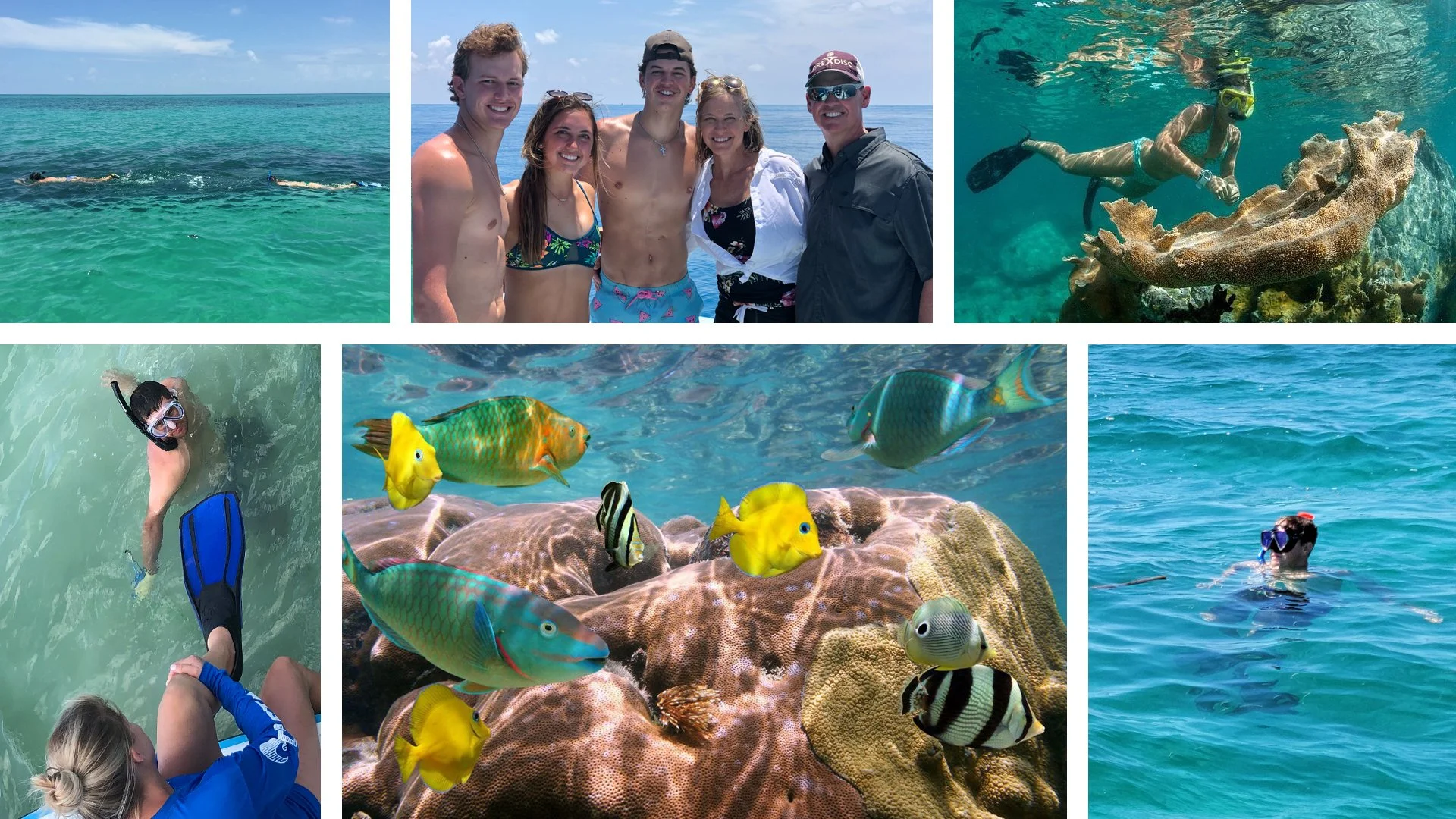 Cabo Rojo, Puerto Rico snorkeling trips.