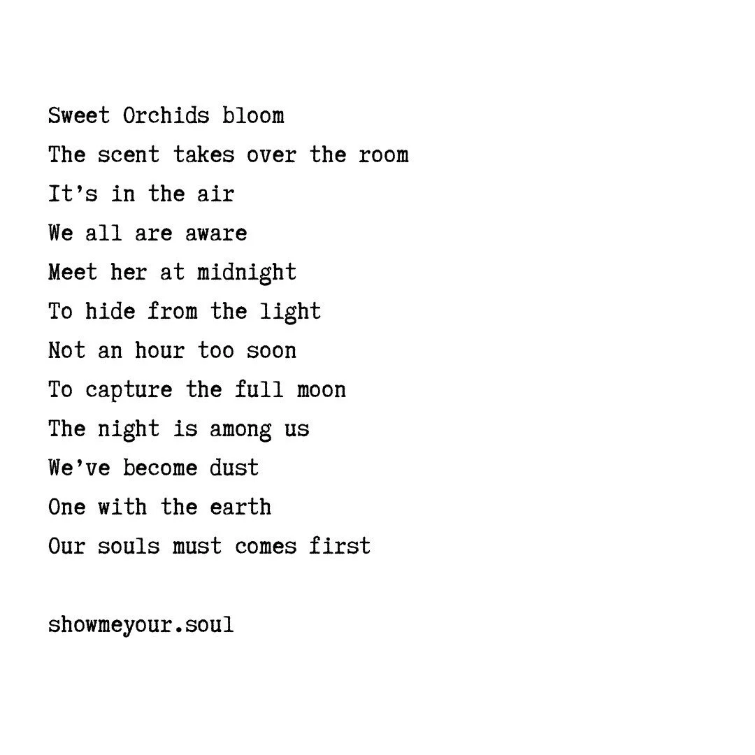 In Bloom 

#nature #earth #life #writersofinstagram #poetry