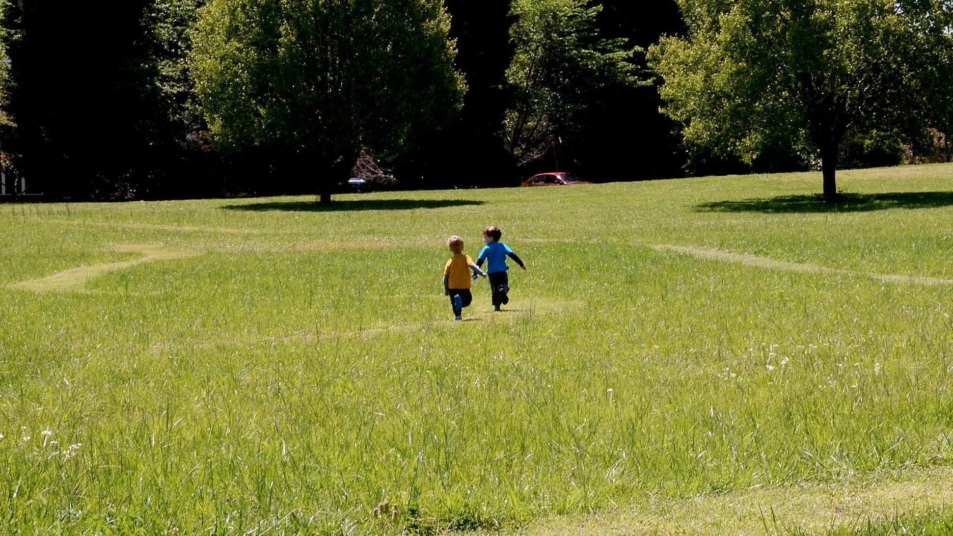 Lake Providence Homeowner's Association