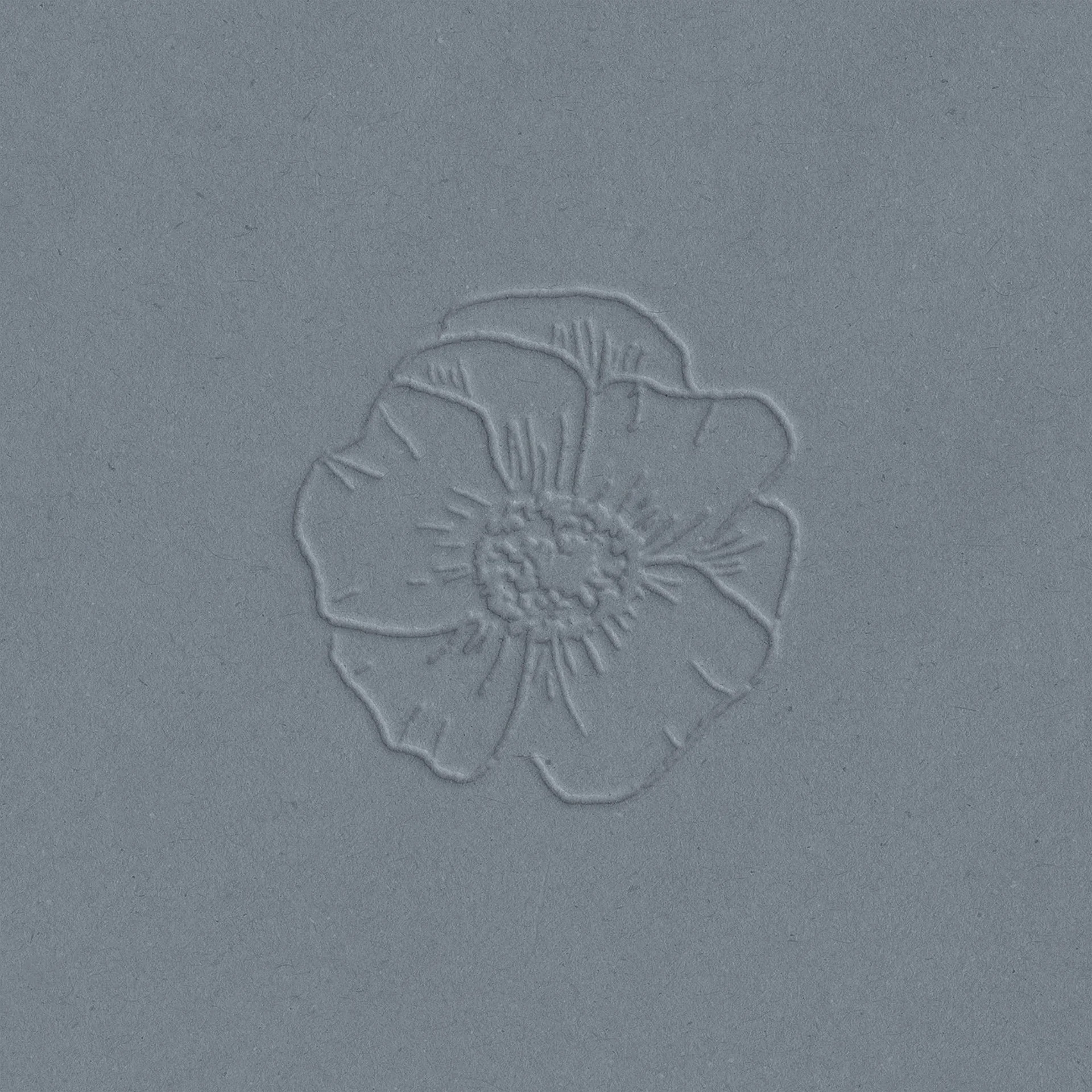   Coming Soon    Wilmette Tudor