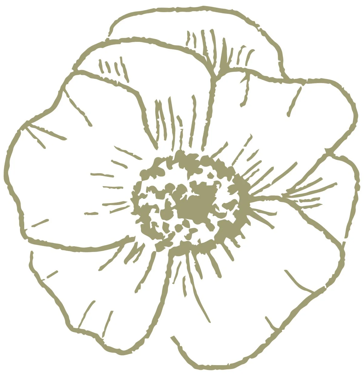   Coming Soon    Wilmette Tudor