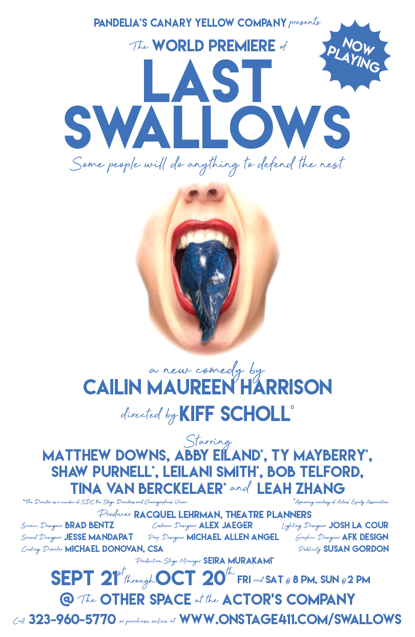 11x17LastSwallows-01.png