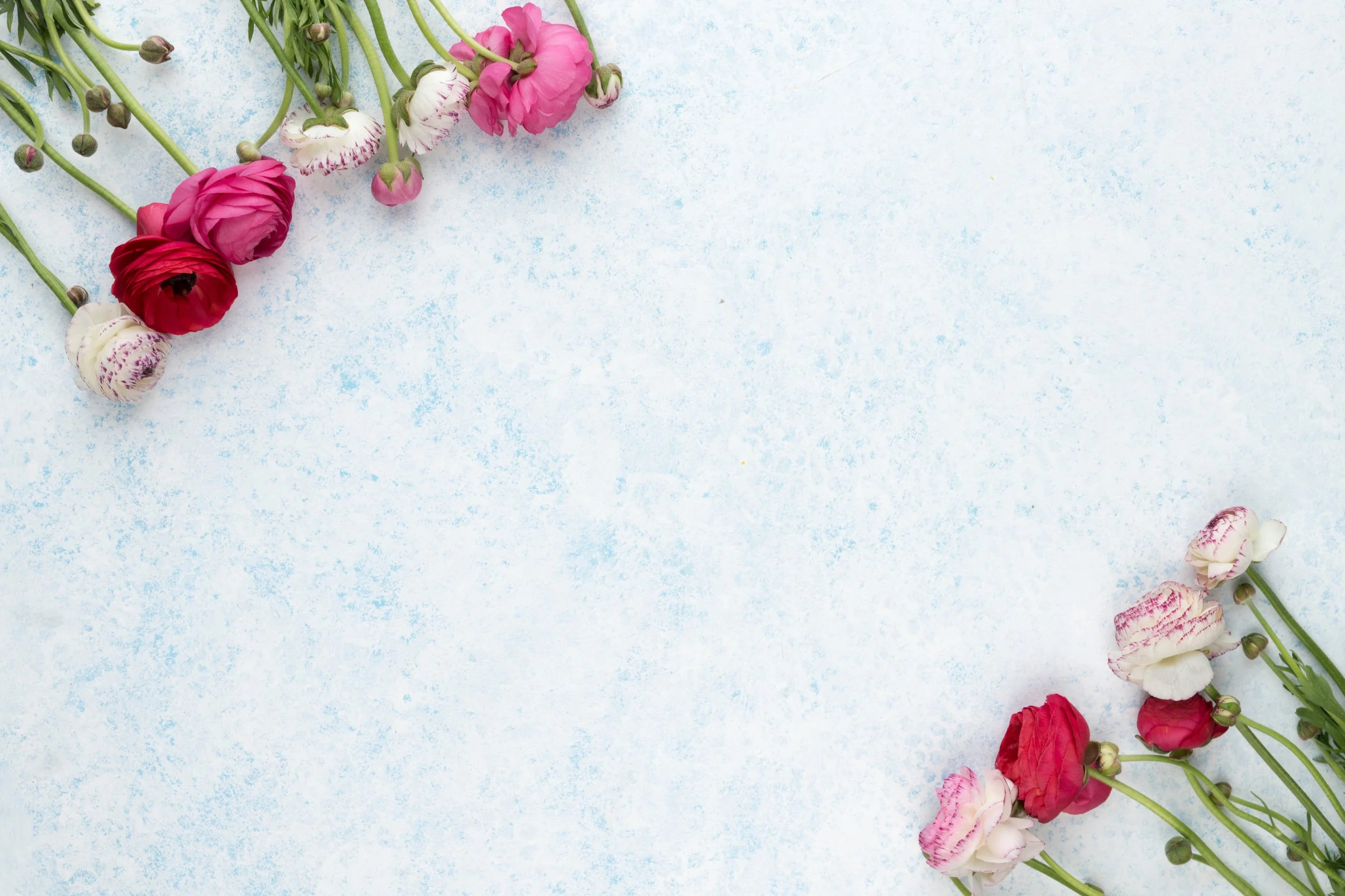 Santulan Massage and Skin Therapy for Women