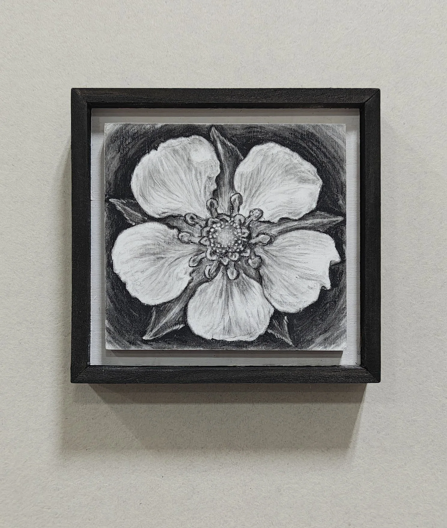 Strawberry Bloom, 2026