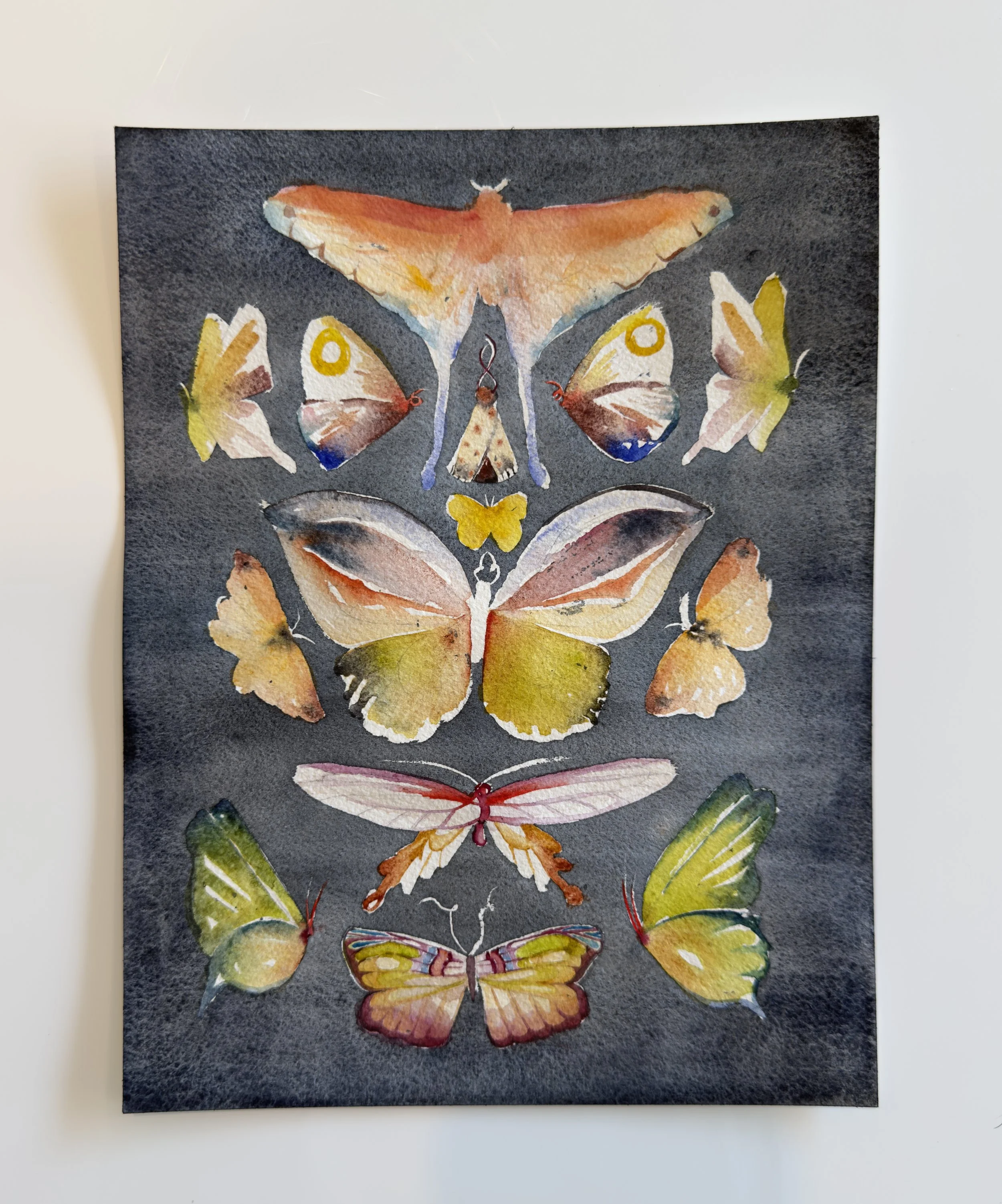 2026 Flutter Chroma.jpg