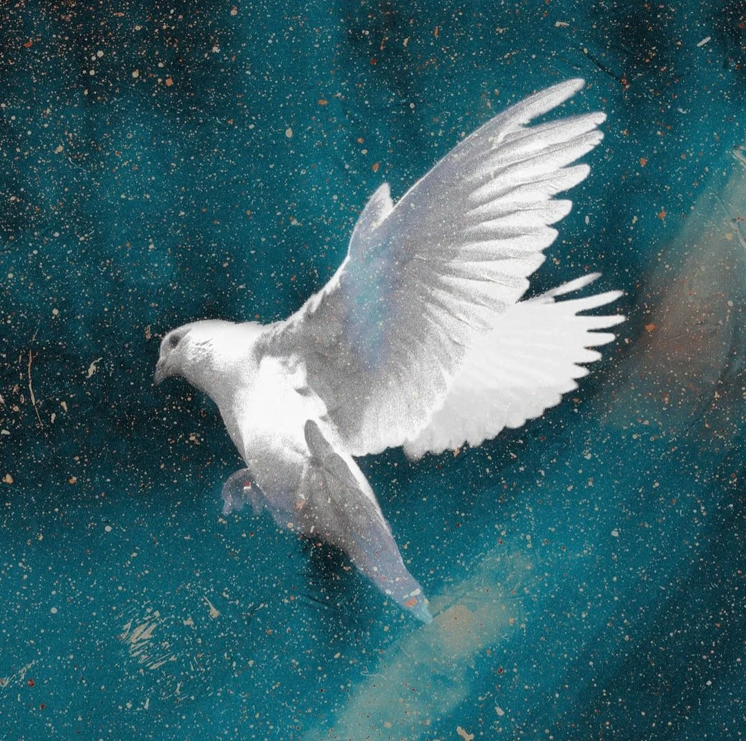 The Holy Spirit is God