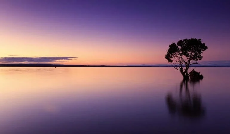 The Upside of Stress