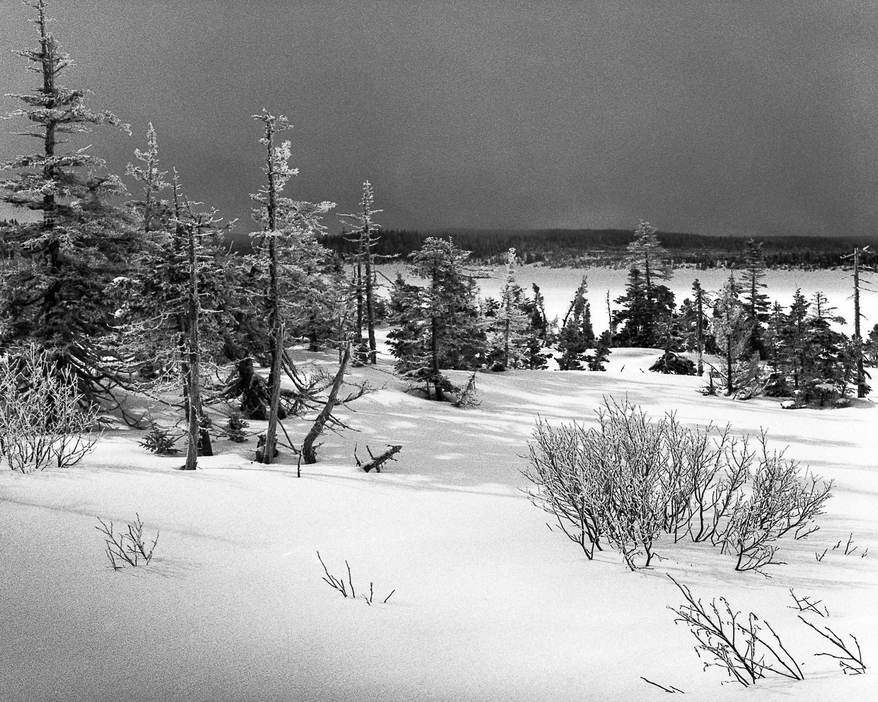 French Mountain, NS.jpg