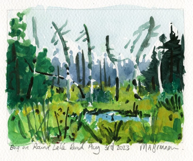 Bog on Round Lake Road, Guache 11.5x15cm Mark Brennan.jpg