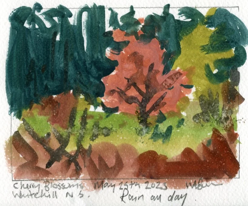 Cherry Blossoms, Whitehill, Guache 11.5x15cm Mark Brennan.jpg
