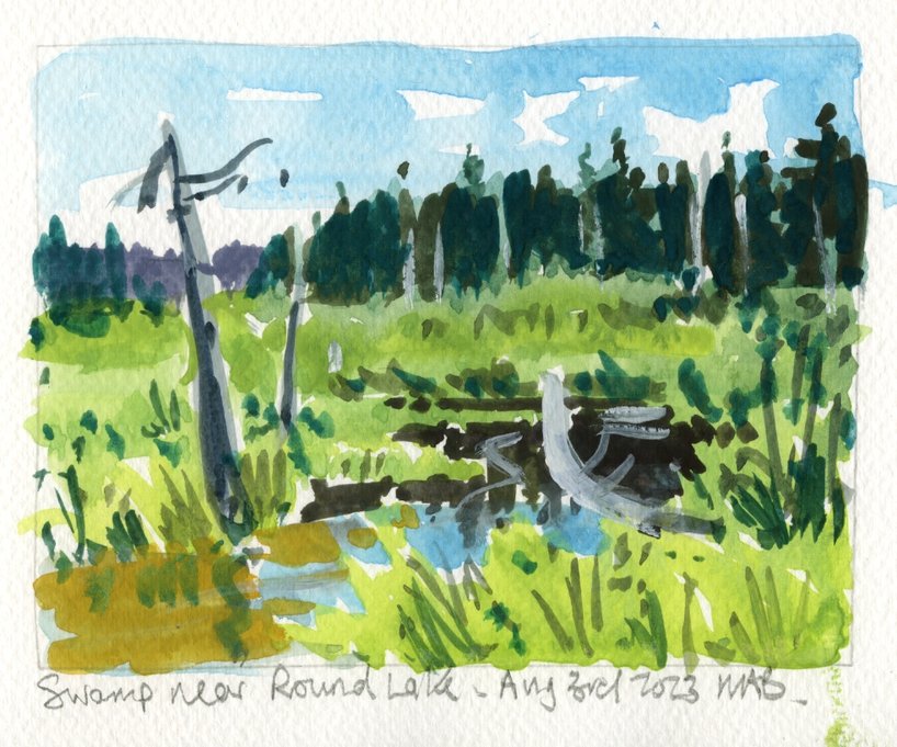 Swamp Near Round Lake, Guache 11.5x15cm Mark Brennan.jpg