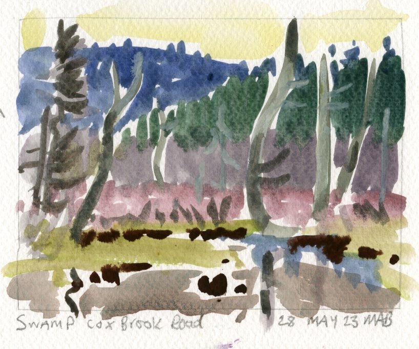 Swamp, Cox Brook Rd, Guache 11.5x15cm Mark Brennan.jpg