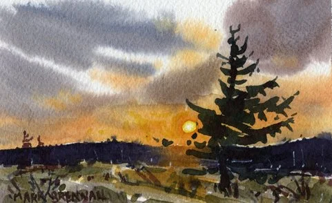 Pasture At Dusk, Whitehill, Watercolour 8x13.5cm Mark Brennan.jpg