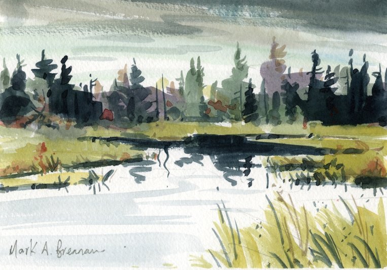 November Swamp, Whitehill, Watercolour 18.5x13cm Mark Brennan.jpg