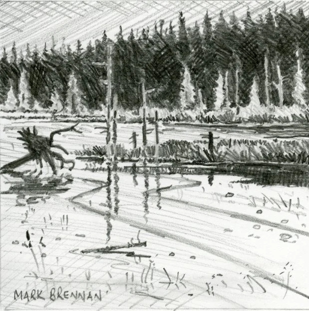 Caribou Plain Wetland, 2022 Pencil On Paper, Mark Brennan 10.5x10.5cm.jpg