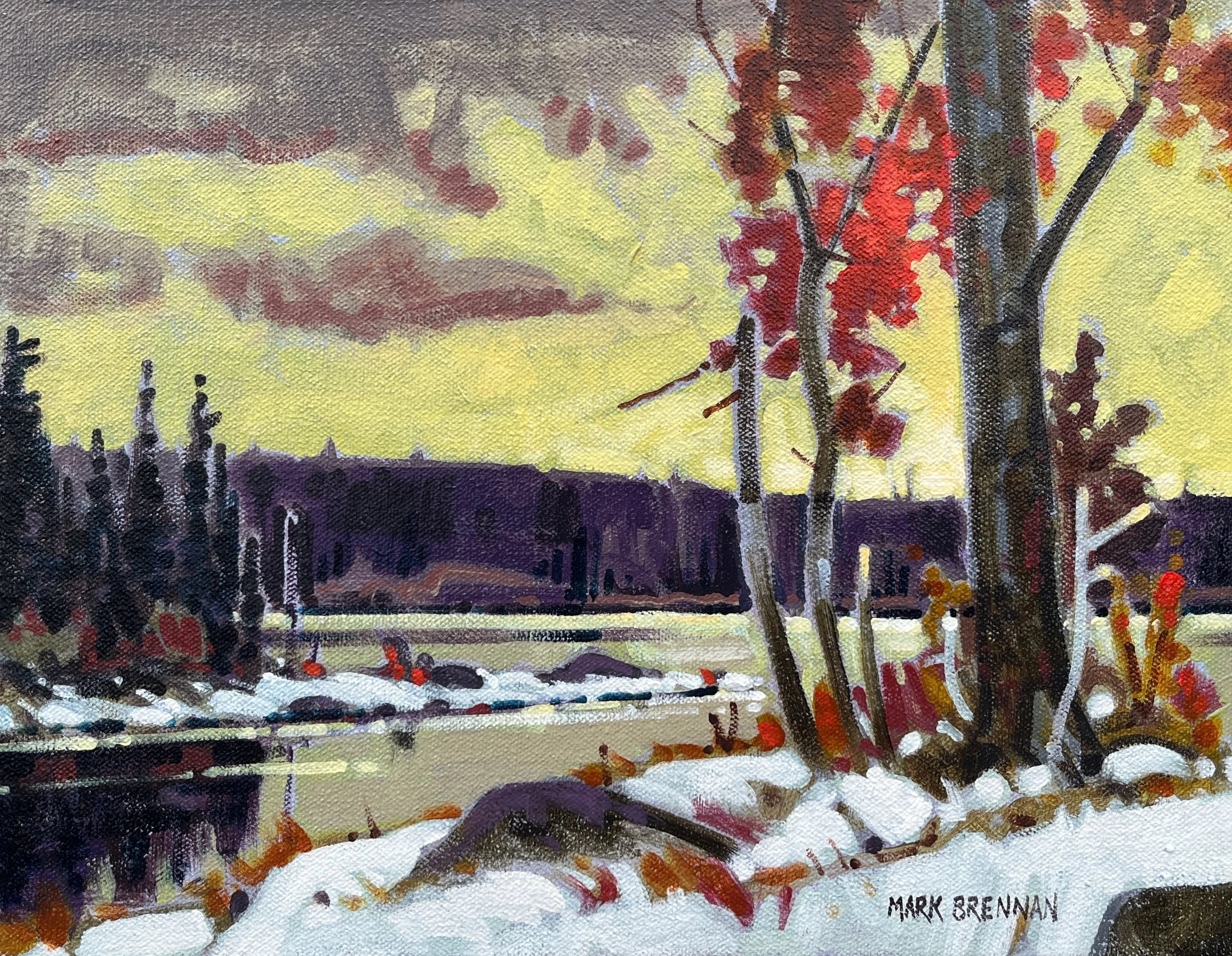 October, Fundy National Park, NB acrylic on canvas 2018 11x14.jpg