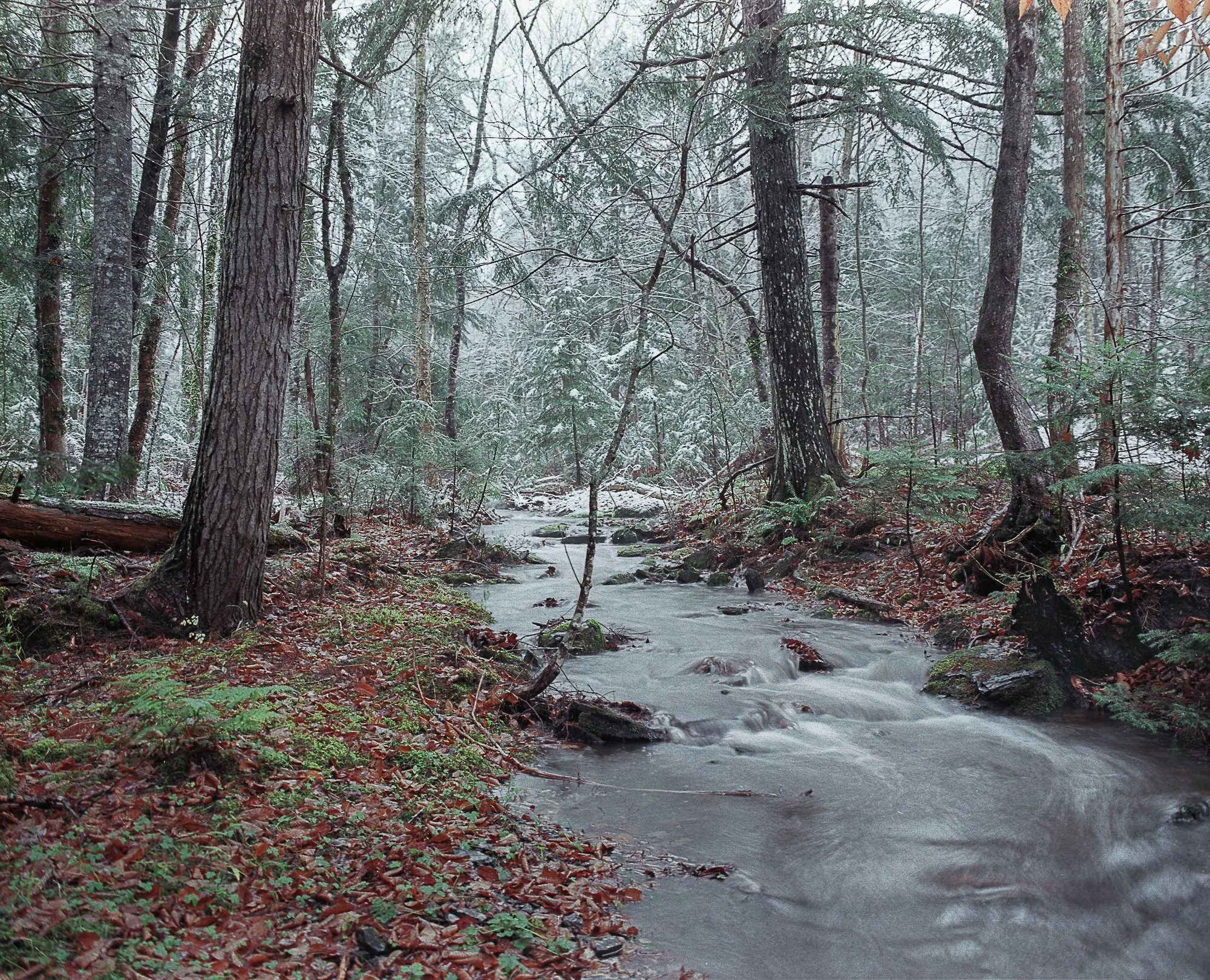 stream first snowssd (1 of 1).jpg