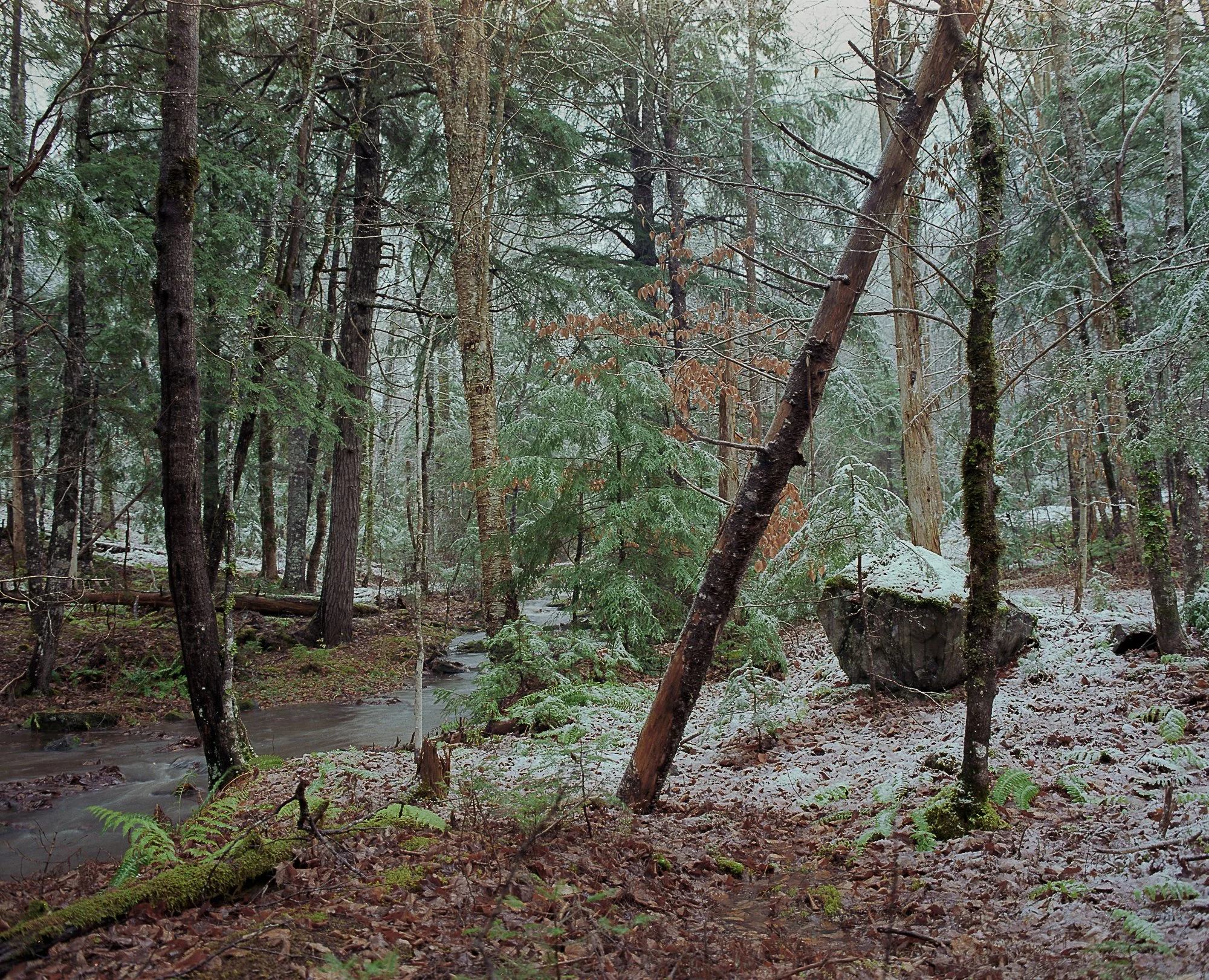 stream winter (1 of 1).jpg