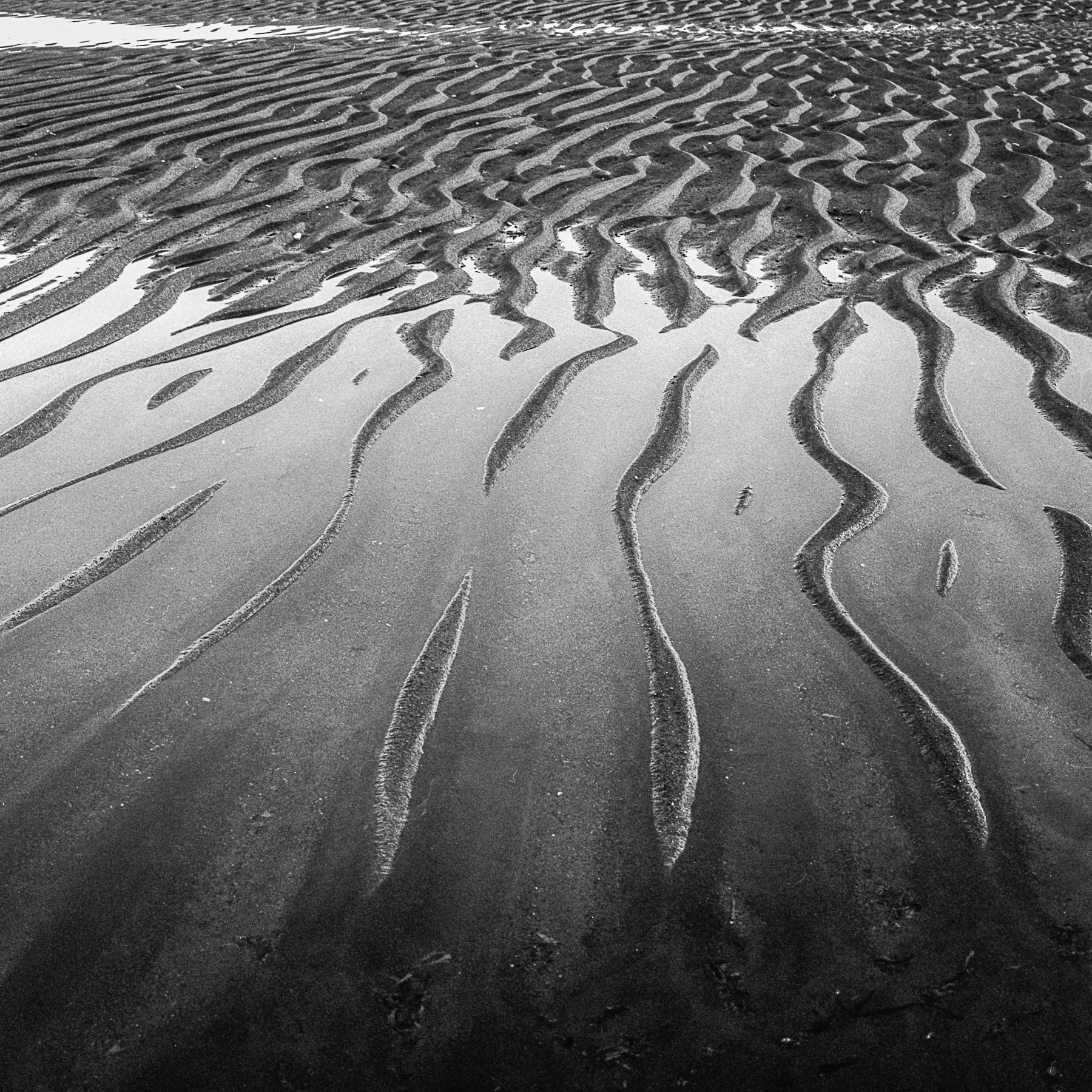 Open Edition Prints-14.jpg