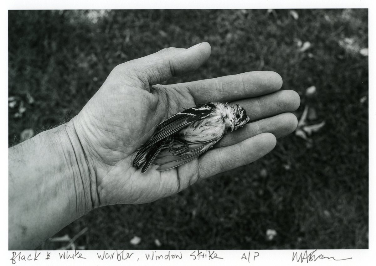 img048.jpg