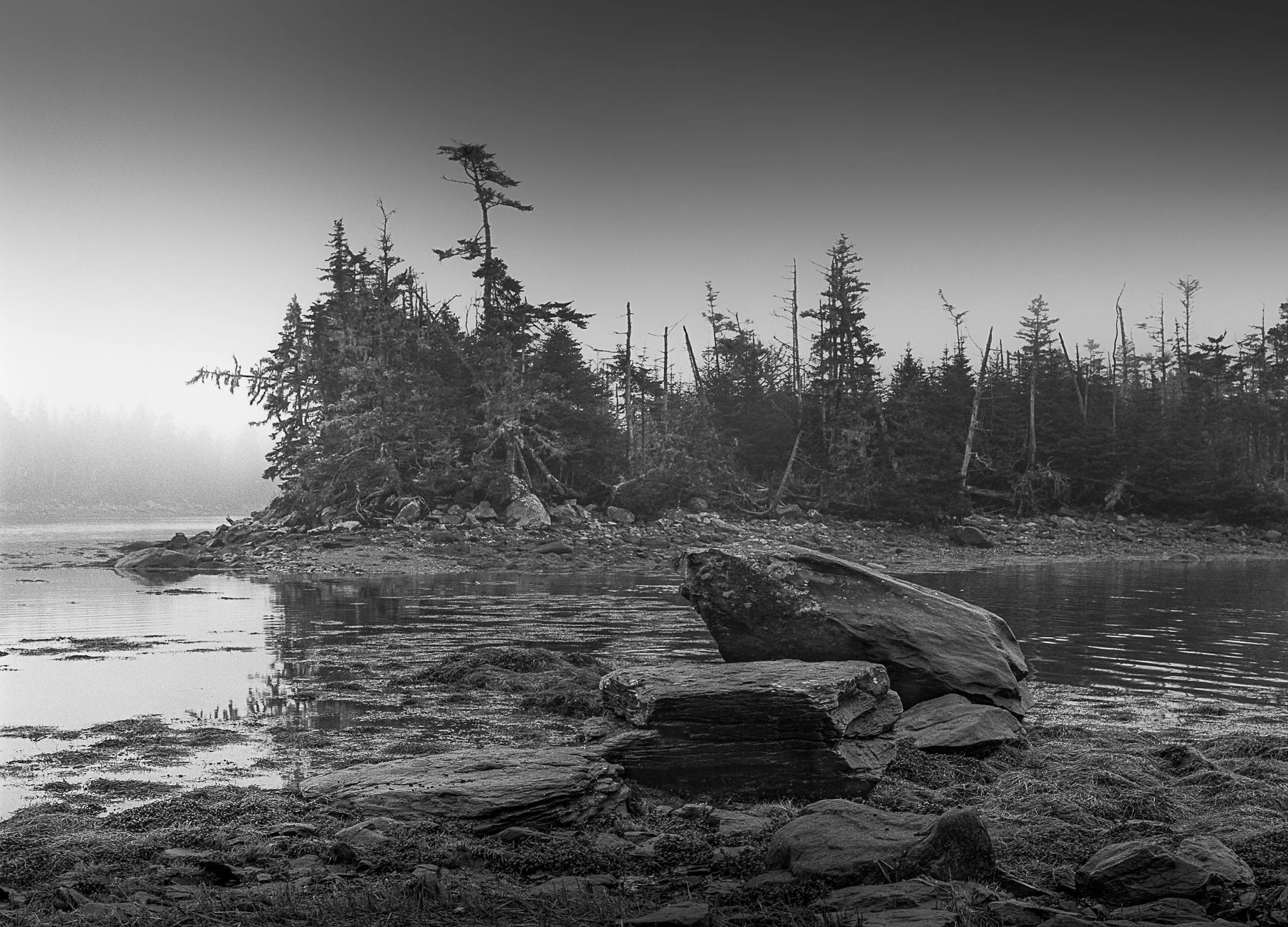 Open Edition Prints-5.jpg