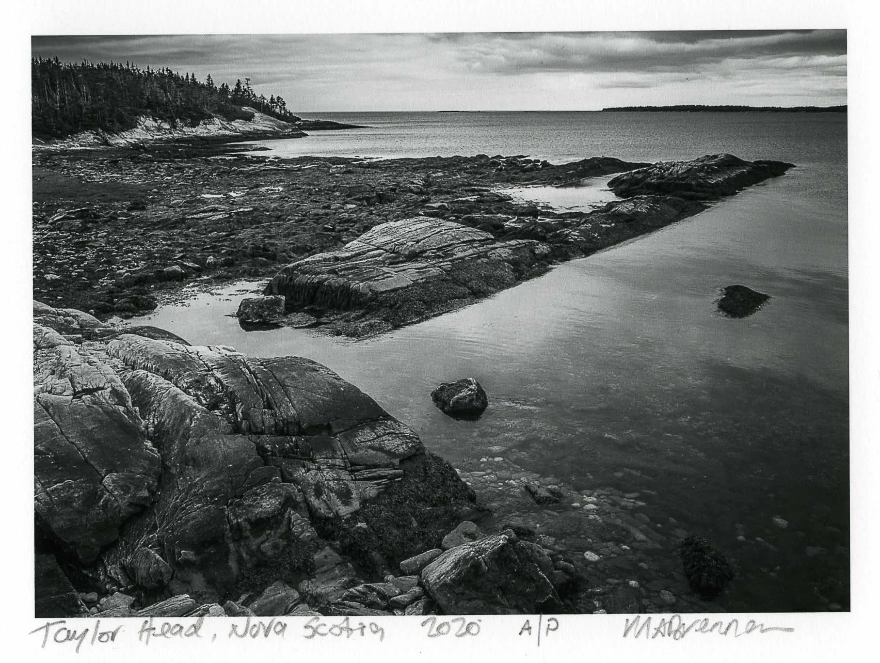35mm 2025435-1.jpg