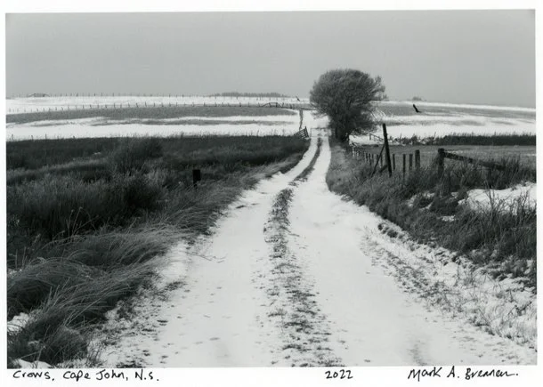 img045.jpg