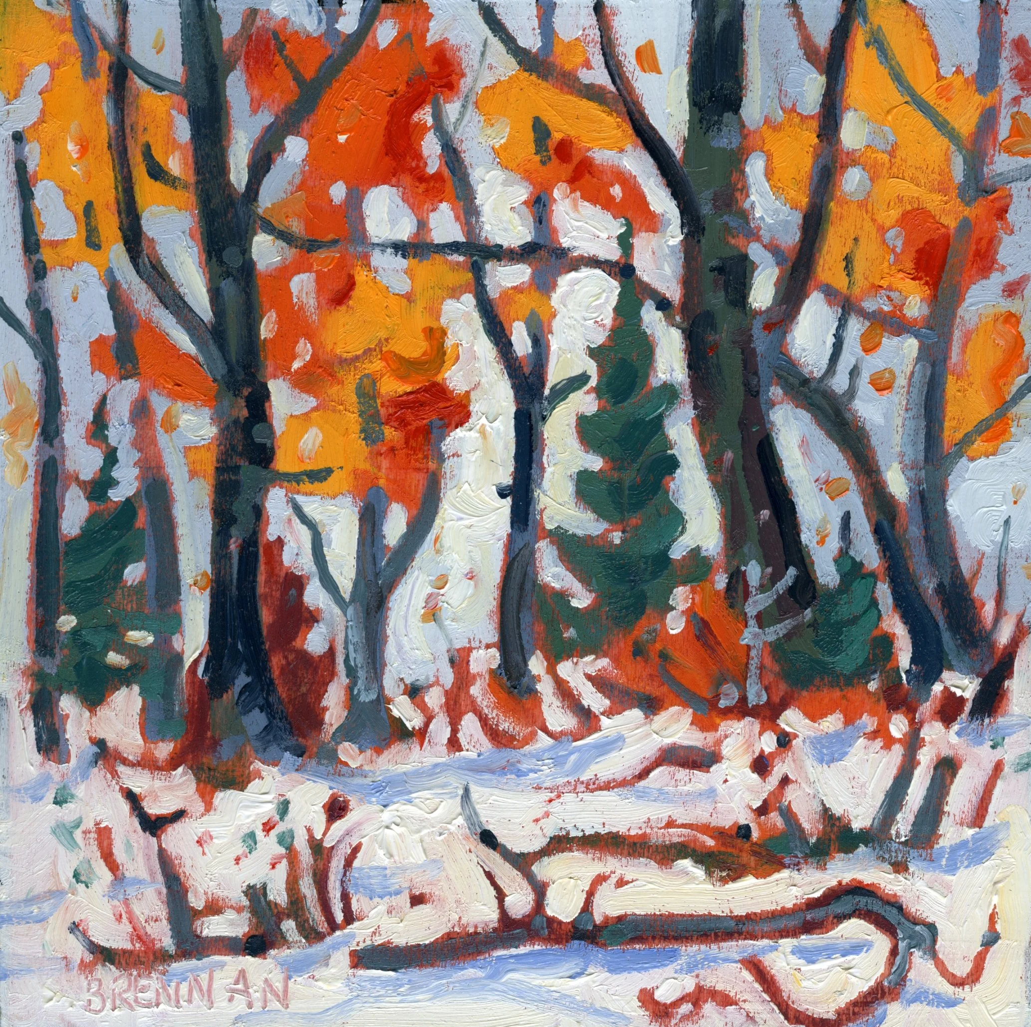 Acadian Forest Early Winter 6x6 oil on panel 2023.jpg