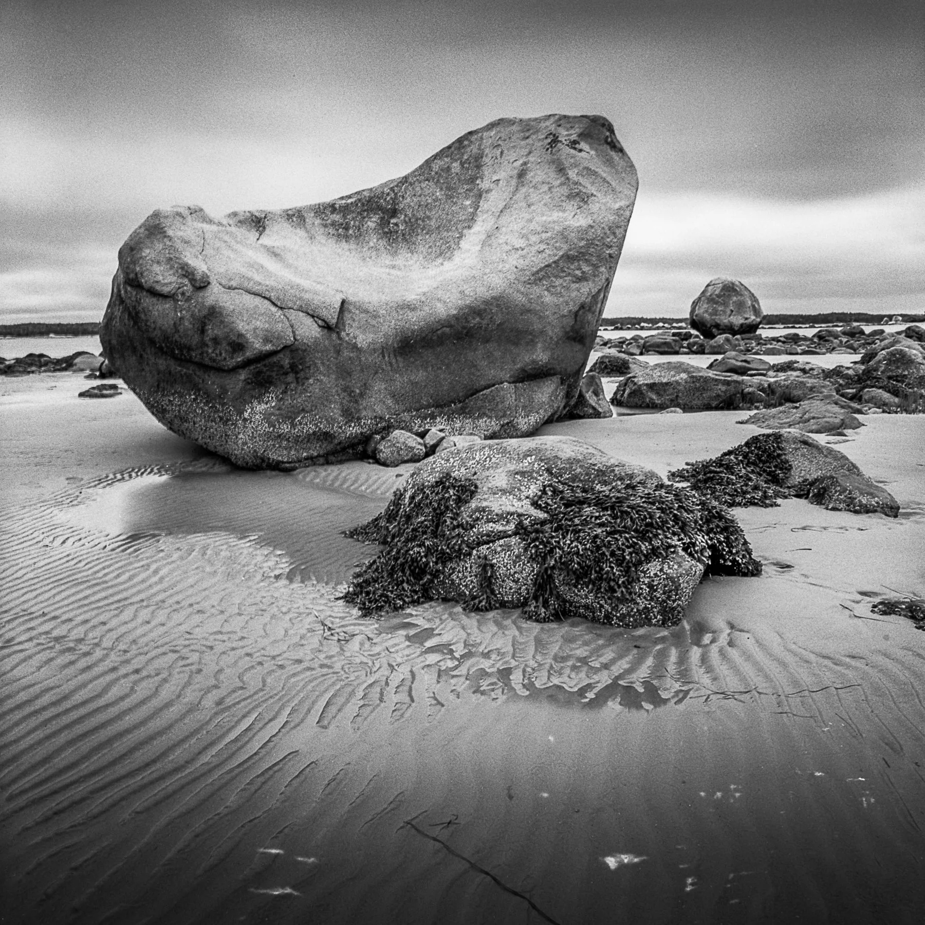 Open Edition Prints-10.jpg