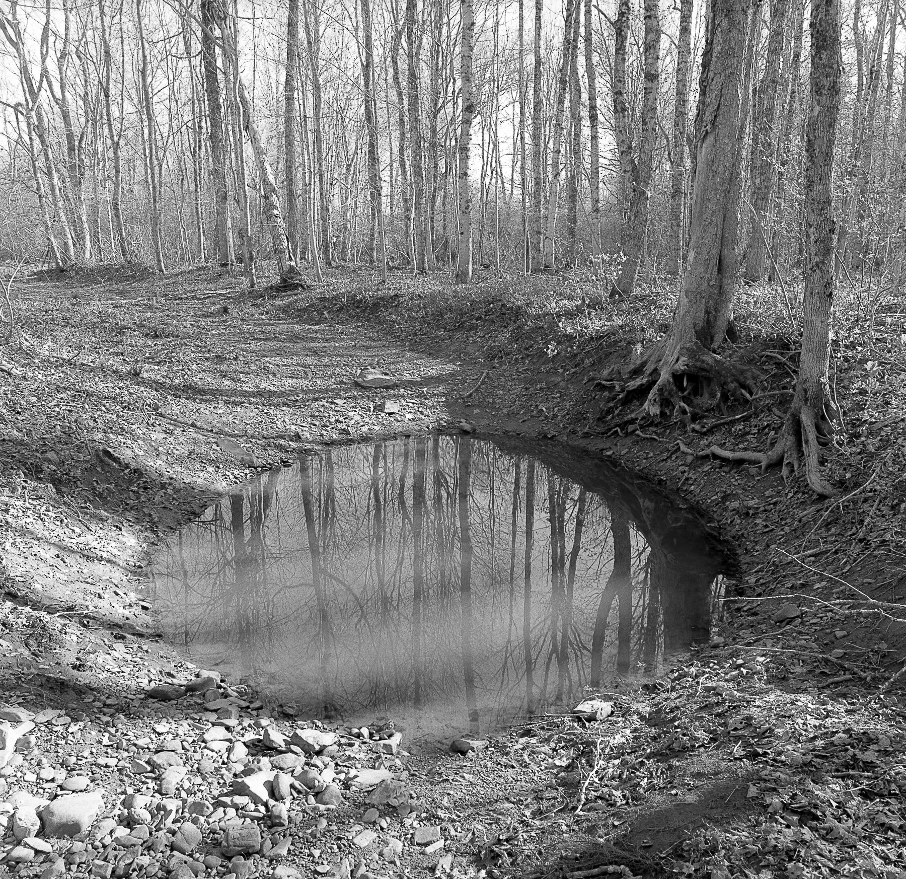 Flood Plain, Middle River, NS.jpg