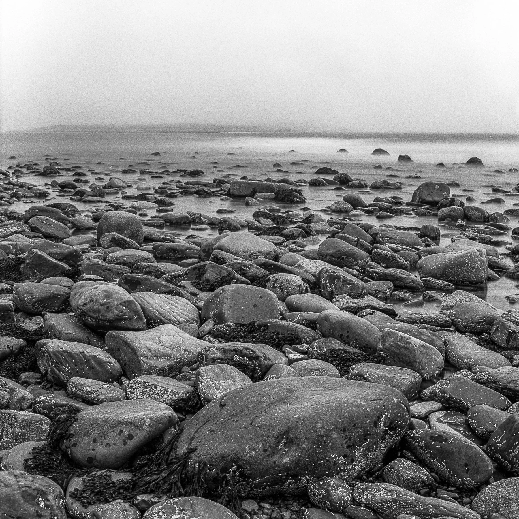 Open Edition Prints-12.jpg
